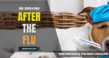 Can I Catch a Cold After the Flu? Exploring Post-Flu Infections