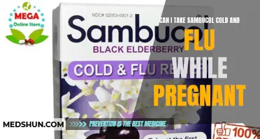 Is It Safe to Take Sambucol Cold and Flu While Pregnant?