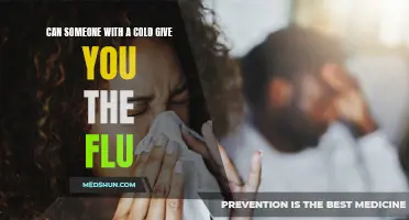 Can Someone With a Cold Pass on the Flu?
