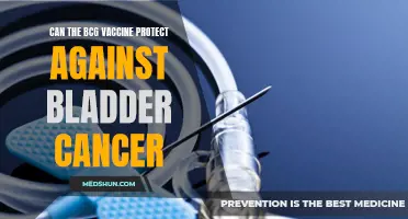 Exploring the Potential of the BCG Vaccine in Protecting Against Bladder Cancer