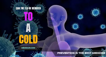 Is it Possible to Reduce the Flu Symptoms to that of a Common Cold?