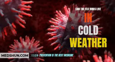 Exploring the Survival of the Flu Virus in Cold Weather: What You Need to Know
