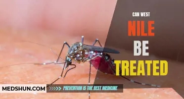 Exploring Treatment Options for West Nile Virus: Hope for Recovery