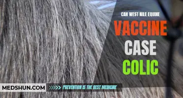 Understanding the Link Between West Nile Equine Vaccine and Colic: What Horse Owners Need to Know