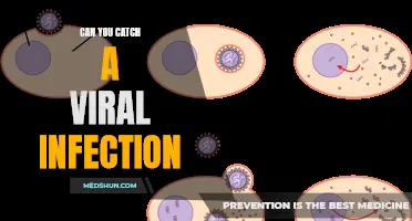 How Can You Catch a Viral Infection? The Basics You Need to Know