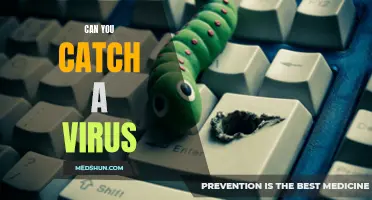 Understanding How You Can Catch a Virus and Ways to Protect Yourself