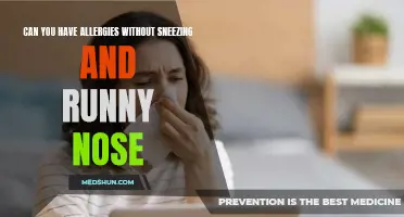 Uncovering the Silent Allergies: Can You Experience Allergies Without Sneezing and a Runny Nose?