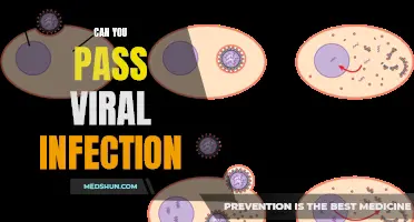 Mastering the Art of Evading Viral Infections: Can You Pass the Test?