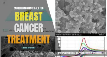 Exploring the Potential of Carbon Nanomaterials for Revolutionary Breast Cancer Treatment