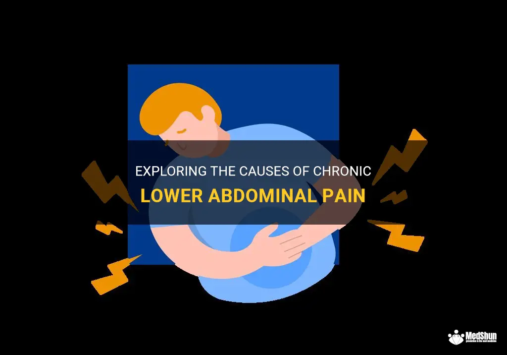 Exploring The Causes Of Chronic Lower Abdominal Pain | MedShun