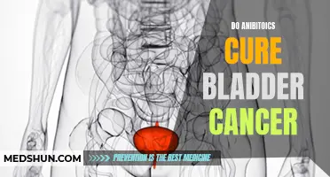 Unveiling the Potential: Can Antibiotics Cure Bladder Cancer?