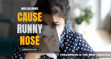 Understanding the Link: Do Allergies Cause a Runny Nose?