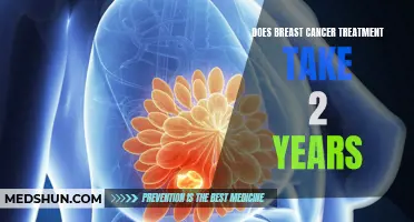 The Duration of Breast Cancer Treatment: Does It Really Take 2 Years?