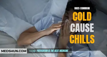 Exploring the Link: Can the Common Cold Really Cause Chills?