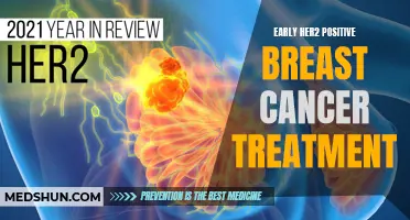 Navigating Early HER2 Positive Breast Cancer Treatment: Updates and Options