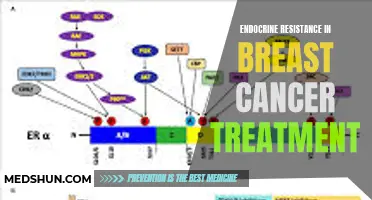 Understanding the Mechanisms of Endocrine Resistance in Breast Cancer Treatment