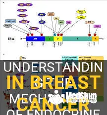 endocrine resistance in breast cancer treatment