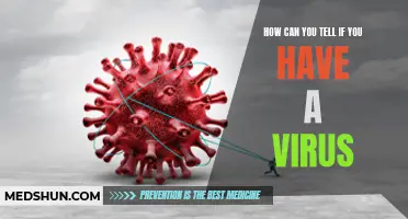 Signs and Symptoms: How Can You Tell if You Have a Virus?