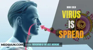 Understanding How the Cold Virus Spreads: Key Facts and Prevention Techniques