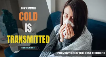 Understanding How the Common Cold is Transmitted: Key Facts and Prevention Tips