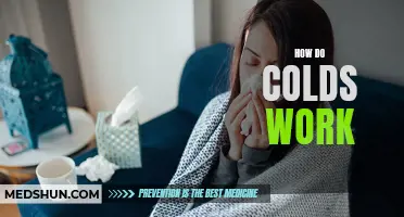 Understanding the Mechanics of Colds: How They Work and How to Prevent Them