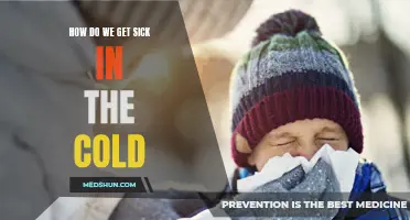 Winter Wellness: Exploring the Causes of Illness in Cold Weather