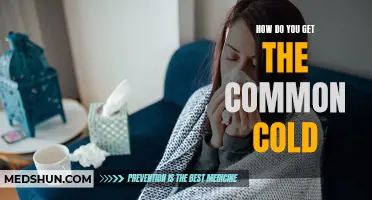 Uncovering the Secrets: How Do You Get the Common Cold?