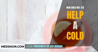 The Soothing Effects of Hot Tea: How It Can Help Relieve Cold Symptoms