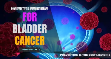 The Effectiveness of Immunotherapy in the Treatment of Bladder Cancer