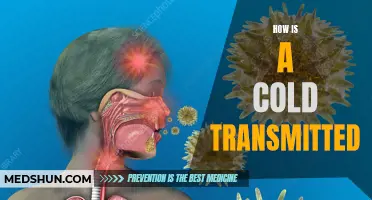 Understanding How a Cold is Transmitted: A Comprehensive Guide