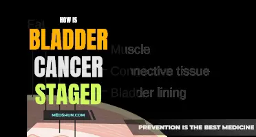 Understanding the Staging Process for Bladder Cancer