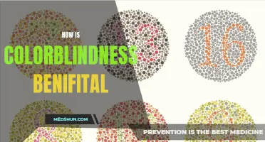The Unexpected Benefits of Colorblindness: Seeing the World in a New Light