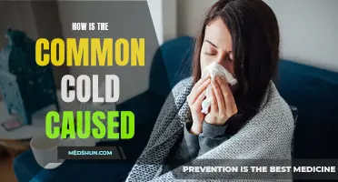Unveiling the Origins: How the Common Cold Is Caused