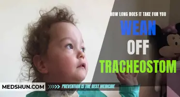 Mastering the Art of Weaning Off a Tracheostomy: A Comprehensive Guide
