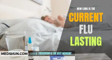 The Duration of the Current Flu: What You Need to Know