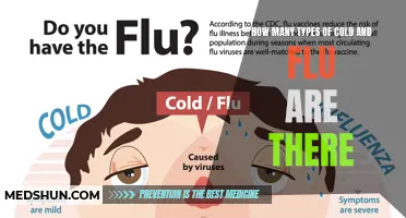 Understanding the Various Types of Cold and Flu: A Comprehensive Guide