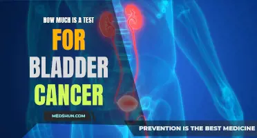 The True Cost of a Test for Bladder Cancer: Unveiling the Price