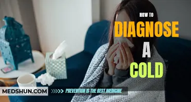 Diagnosing a Cold: How to Identify and Treat Common Symptoms