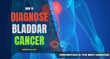 Understanding the Signs and Symptoms of Bladder Cancer