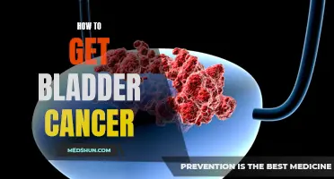 Understanding the Risk Factors and Warning Signs of Bladder Cancer