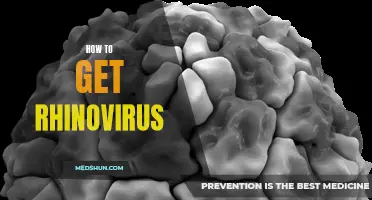 Unlocking the Secrets: How to Contract Rhinovirus
