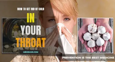 Natural Remedies to Soothe a Sore Throat and Get Rid of a Cold