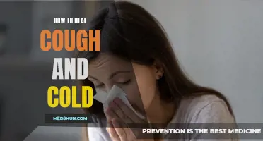 The Essential Guide to Healing Cough and Cold: Effective Remedies and Tips