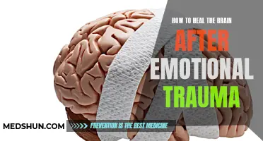Healing Emotional Trauma: Strategies to Restore the Brain's Balance
