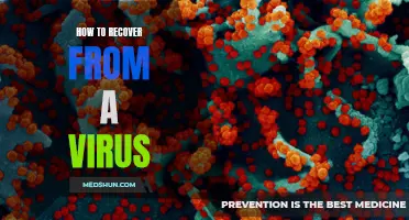 Tips on Recovering from a Virus: How to Regain Your Health and Strength