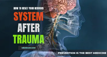 Resetting Your Nervous System: Techniques to Heal and Recover After Trauma