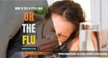 The Key Differences: How to Determine if You Have a Cold or the Flu