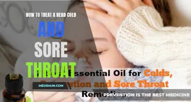 Natural Remedies for Relieving a Head Cold and Sore Throat