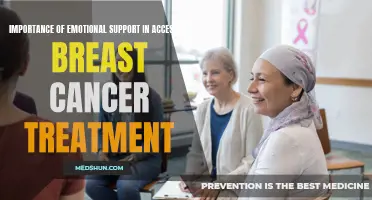 The Importance of Emotional Support in Accessing Breast Cancer Treatment