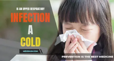 Decoding Upper Respiratory Infections: Understanding the Relationship Between the Common Cold and More Serious Illnesses
